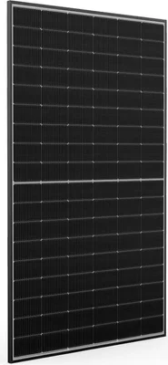 Risen 610Wp Bifacial Topcon Detalle 2