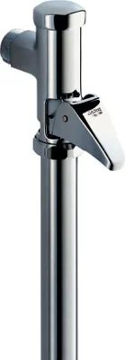 Fluxor inodoro Grohe Dal
